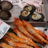 Zdjęcie z Japonii - Osaka