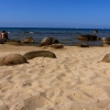 Zdjęcie z Włoch - plażowe pstryki