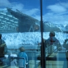 Zdjęcie ze Stanów Zjednoczonych - Margerie Glacier