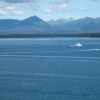 Zdjęcie ze Stanów Zjednoczonych - Glacier Bay