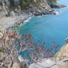 Zdjęcie z Włoch - Vernazza