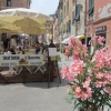 Zdjęcie z Włoch - Vernazza