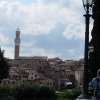 Zdjęcie z Włoch - Siena