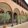 Zdjęcie z Włoch - Siena