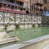 Zdjęcie z Włoch - Siena
