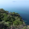 Zdjęcie z Grecji - Sithonia