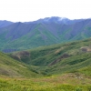 Zdjęcie ze Stanów Zjednoczonych - Denali N.P.