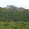 Zdjęcie ze Stanów Zjednoczonych - Denali N.P.