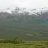 Zdjęcie ze Stanów Zjednoczonych - Denali N.P.