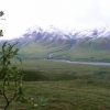 Zdjęcie ze Stanów Zjednoczonych - Denali N.P.