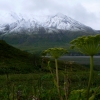 Zdjęcie ze Stanów Zjednoczonych - Denali N.P.