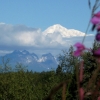 Zdjęcie ze Stanów Zjednoczonych - Mt McKinley