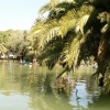 Zdjęcie z Hiszpanii - Parc de la Ciutadella