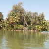 Zdjęcie z Hiszpanii - Parc de la Ciutadella