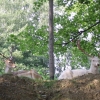 Zdjęcie z Polski - Lesny Park Niespodzianek