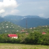 Zdjęcie z Gruzji - okolice Batumi
