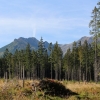 Zdjęcie z Polski - Nasze piękne Tatry!