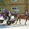 Zdjęcie z Polski - jesteśmy w centrum Białowieży