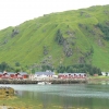 Zdjęcie z Norwegii - Lofoty