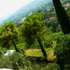 Zdjęcie z Francji - widok z murów Saint-Paul-de Vence