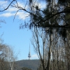 Zdjęcie z Australii - Canberra
