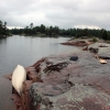 Zdjęcie z Kanady - Na biwaku na wyspie Franklin Island, Ontario