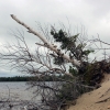 Zdjęcie z Kanady - Na jeziorze Lady Evelyn Lake, Ontario-piaszczyste łachy