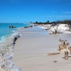 Zdjęcie z Kuby - Plaże w Cayo Largo, Kuba