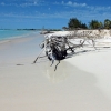 Zdjęcie z Kuby - Plaże w Cayo Largo, Kuba