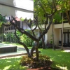 Zdjęcie z Tajlandii - W naszym hotelu Bodhi Serene