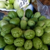 Zdjęcie z Portugalii - chayote- karczoch jadalny