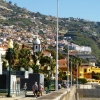 Zdjęcie z Portugalii - Funchal