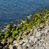 Zdjęcie z Portugalii - plaża w Ribeira Brava