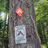 Zdjęcie z Kanady - French River, Ontario. Miejsce zamknięte z powodu wizyt niedźwiadków