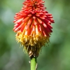 Zdjęcie z Hiszpanii - ogród botaniczny