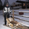 Zdjęcie z Finlandii - Husky-Safari 