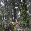 Zdjęcie z Tajlandii - Doi Inthanon - najwyzszy punkt Tajlandii