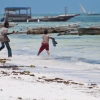 Zdjęcie z Tanzanii - Matemwe