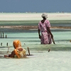 Zdjęcie z Tanzanii - Paje