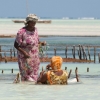 Zdjęcie z Tanzanii - 