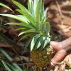 Zdjęcie z Tanzanii - 