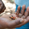 Zdjęcie z Tanzanii - 