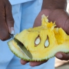 Zdjęcie z Tanzanii - 