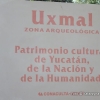 Zdjęcie z Meksyku - Wjeżdżamy do Uxmal