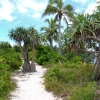 Zdjęcie z Vanuatu - Sciezka wokol wyspy Mystery Island