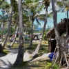 Zdjęcie z Vanuatu - Na Mystery Island