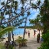 Zdjęcie z Vanuatu - Na Mystery Island