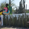 Zdjęcie z Curacao - 