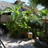 Zdjęcie z Curacao - AMAZONIA