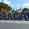Zdjęcie z Curacao - 